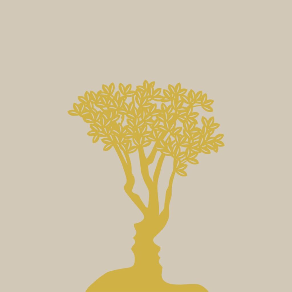 MKraft PRO er gratis