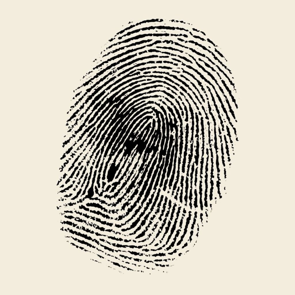 Mit aftryk på priser